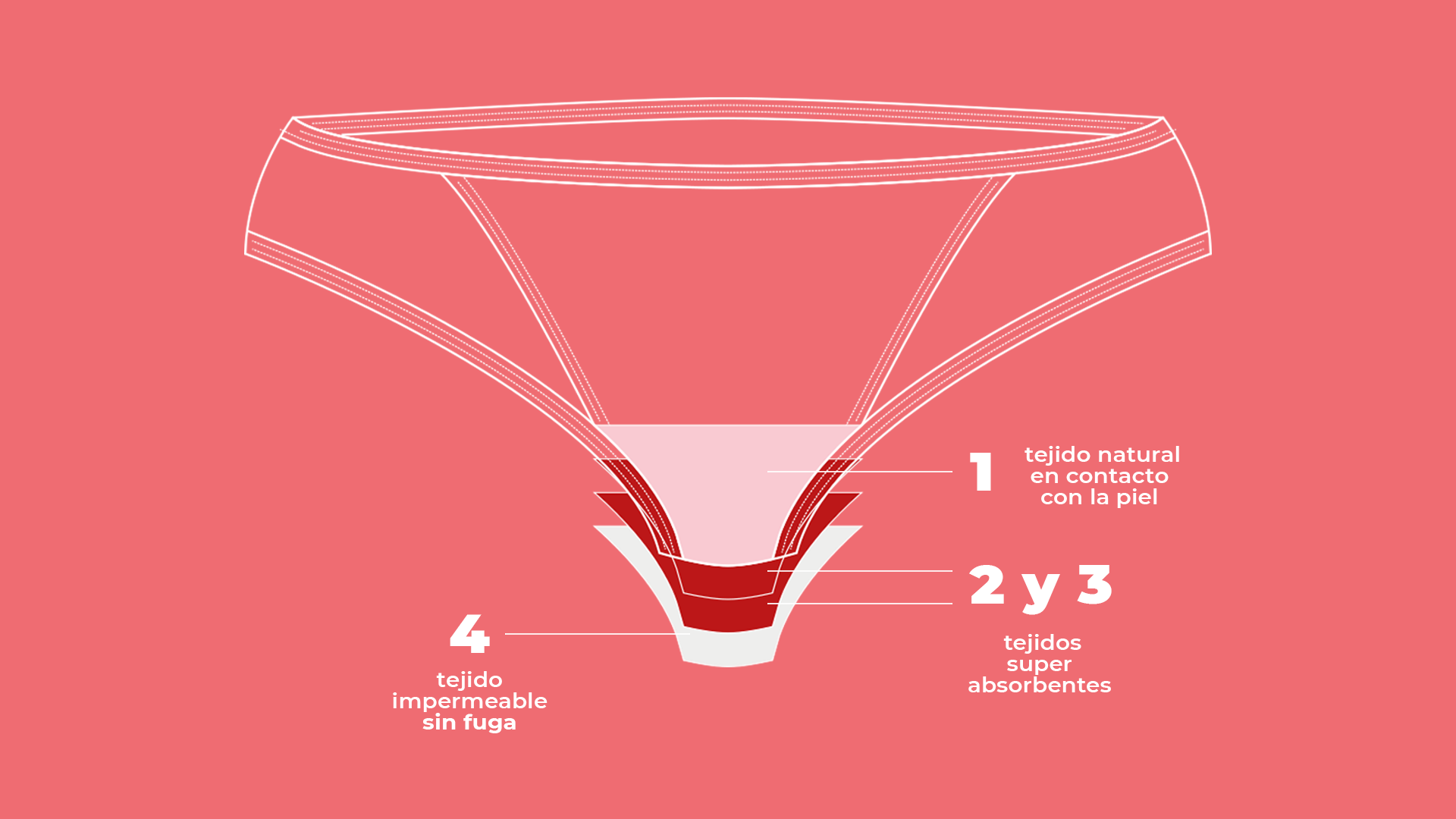 Cómo funcionan los panties menstruales? Tu guía definitiva